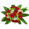 Rosenbote Top Angebot