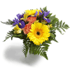 Euroflorist Top Angebot